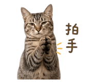 844562106