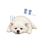 844562255