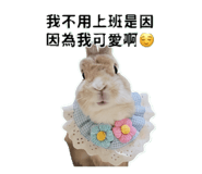 844562529