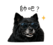 844562940