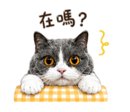844563222