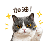 844563225