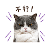 844563233