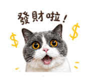 844563234
