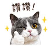 844563247