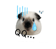 844563298