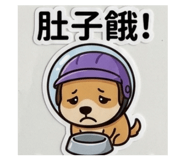 844563327