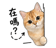 844563575