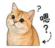 844563582