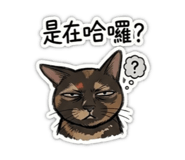 844563819