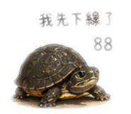 844564205