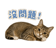 844564258