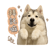 844564945