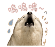 844564951