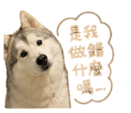 844564958