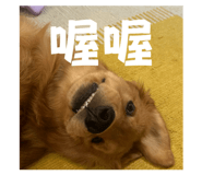 844565058