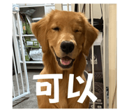 844565067