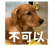 844565068