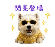 844565179