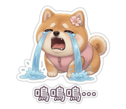 844565343