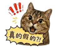 844565443