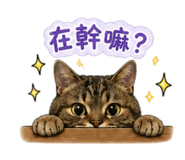 844565445