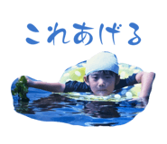 844565833