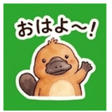 844566017