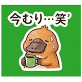 844566022
