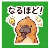 844566026