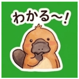 844566028