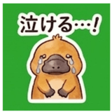 844566033