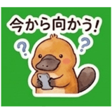 844566036