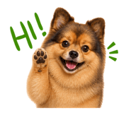 844566233