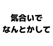 844566651