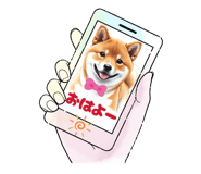 844566765