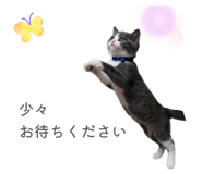 844567072