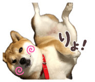 844567377