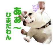 844567378