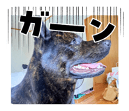 844567825