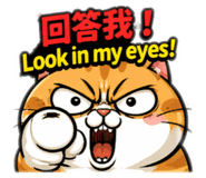 844568057