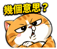 844568060