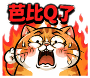 844568061