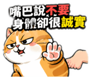 844568062