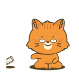 844568364