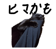 844568462