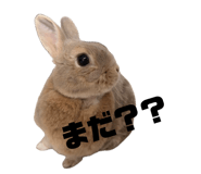 844568588