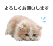 844569335