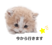 844569338