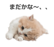 844569344